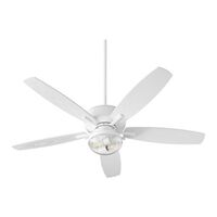 Large Ceiling Fan