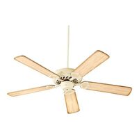 Large Ceiling Fan