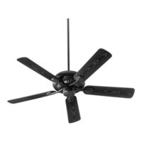 Large Ceiling Fan