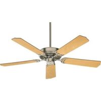 Large Ceiling Fan