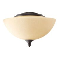 Ceiling Fan Light Kits 2