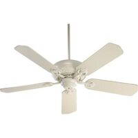 Large Ceiling Fan