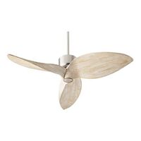 Large Ceiling Fan