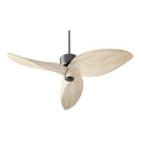 Large Ceiling Fan