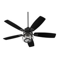 Large Ceiling Fan