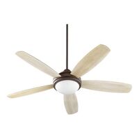 Large Ceiling Fan