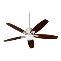 Large Ceiling Fan