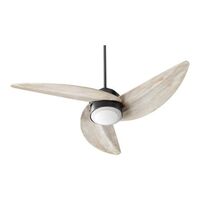 Large Ceiling Fan