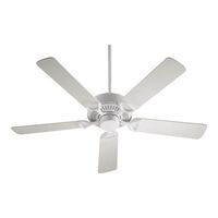 Large Ceiling Fan