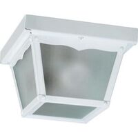 Ceiling Mounted Light 9-1/4" Width Ceiling Mounted Light 9-1/4" Width