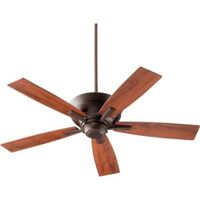 Large Ceiling Fan