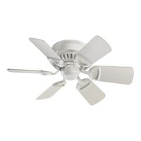 Small Ceiling Fan