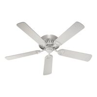 Large Ceiling Fan