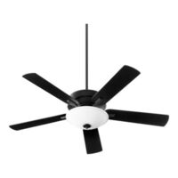 Large Ceiling Fan