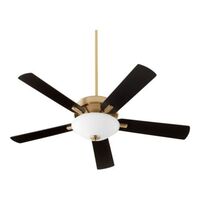 Large Ceiling Fan