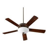 Large Ceiling Fan