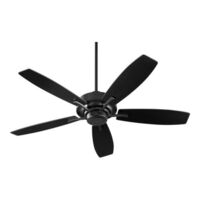 Large Ceiling Fan