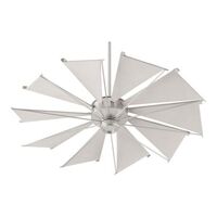 Large Ceiling Fan