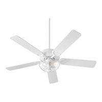 Large Ceiling Fan