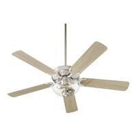 Large Ceiling Fan