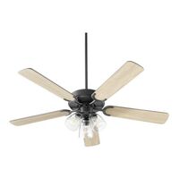 Large Ceiling Fan