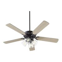 Large Ceiling Fan