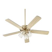 Large Ceiling Fan