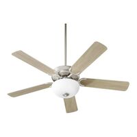 Large Ceiling Fan