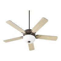 Large Ceiling Fan