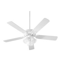 Large Ceiling Fan