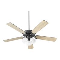 Large Ceiling Fan