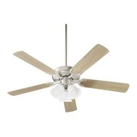 Large Ceiling Fan