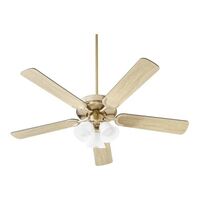 Large Ceiling Fan