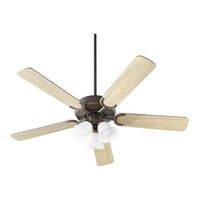 Large Ceiling Fan