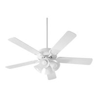 Large Ceiling Fan