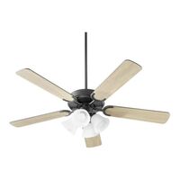 Large Ceiling Fan