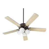 Large Ceiling Fan