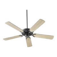 Large Ceiling Fan