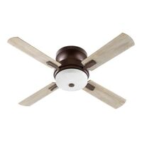 Large Ceiling Fan