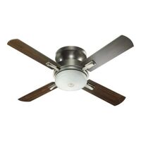 Large Ceiling Fan