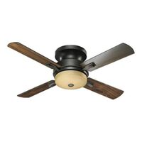 Large Ceiling Fan