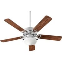 Large Ceiling Fan