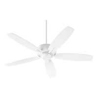 Large Ceiling Fan