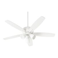 Large Ceiling Fan