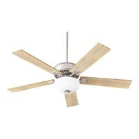 Large Ceiling Fan