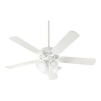 Large Ceiling Fan