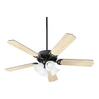 Large Ceiling Fan