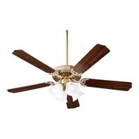 Large Ceiling Fan