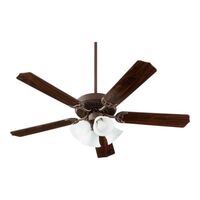 Large Ceiling Fan