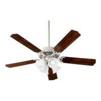 Large Ceiling Fan